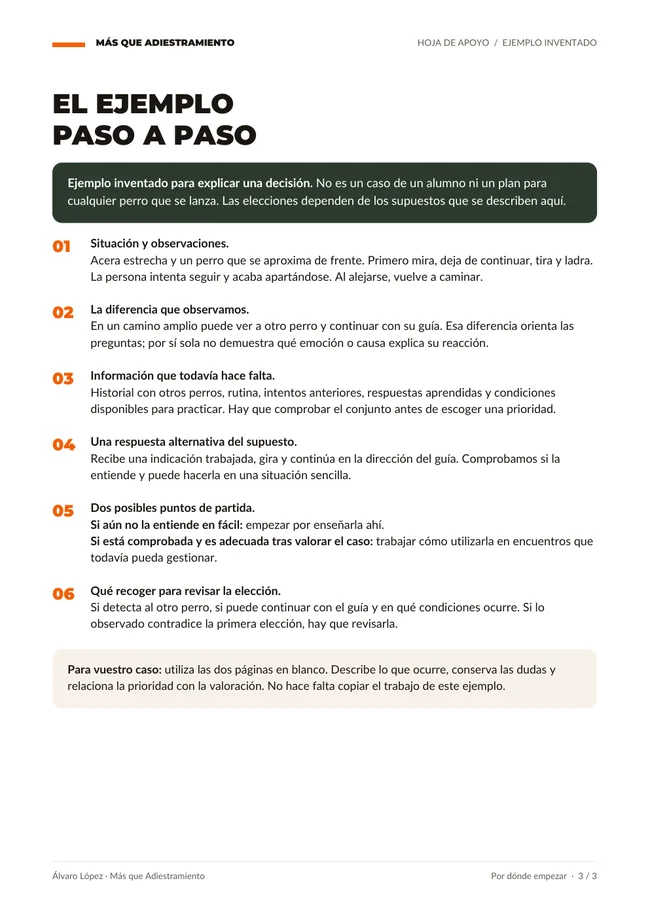 Página del ejemplo inventado que muestra cómo ordenar las observaciones y plantear dos puntos de partida
