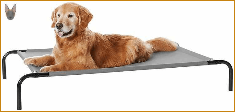 Cama elevada transpirable Amazon Basics para perros grandes