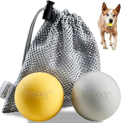 Dos pelotas de trabajo para perro