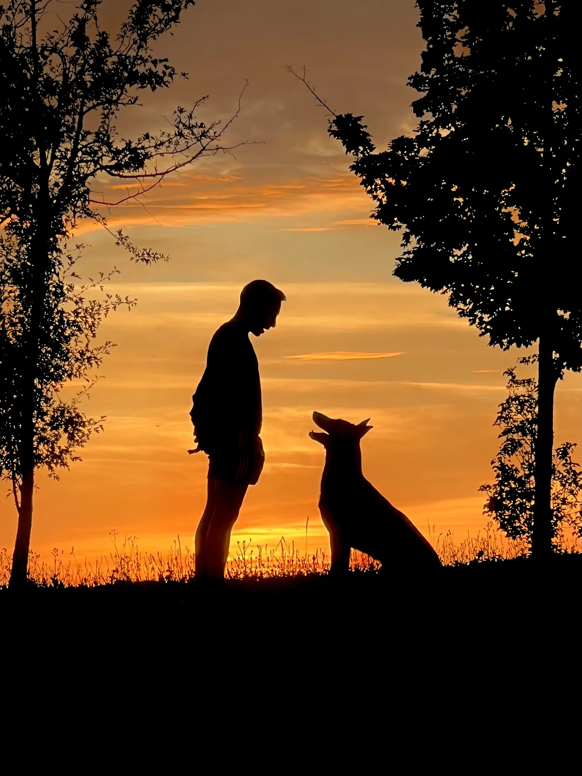 Álvaro y Dante mirándose al atardecer