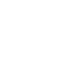 Más que Adiestramiento