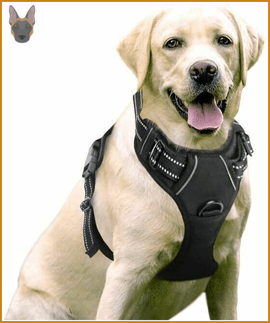 Arnes ideal para perros medianos y grandes de color negro