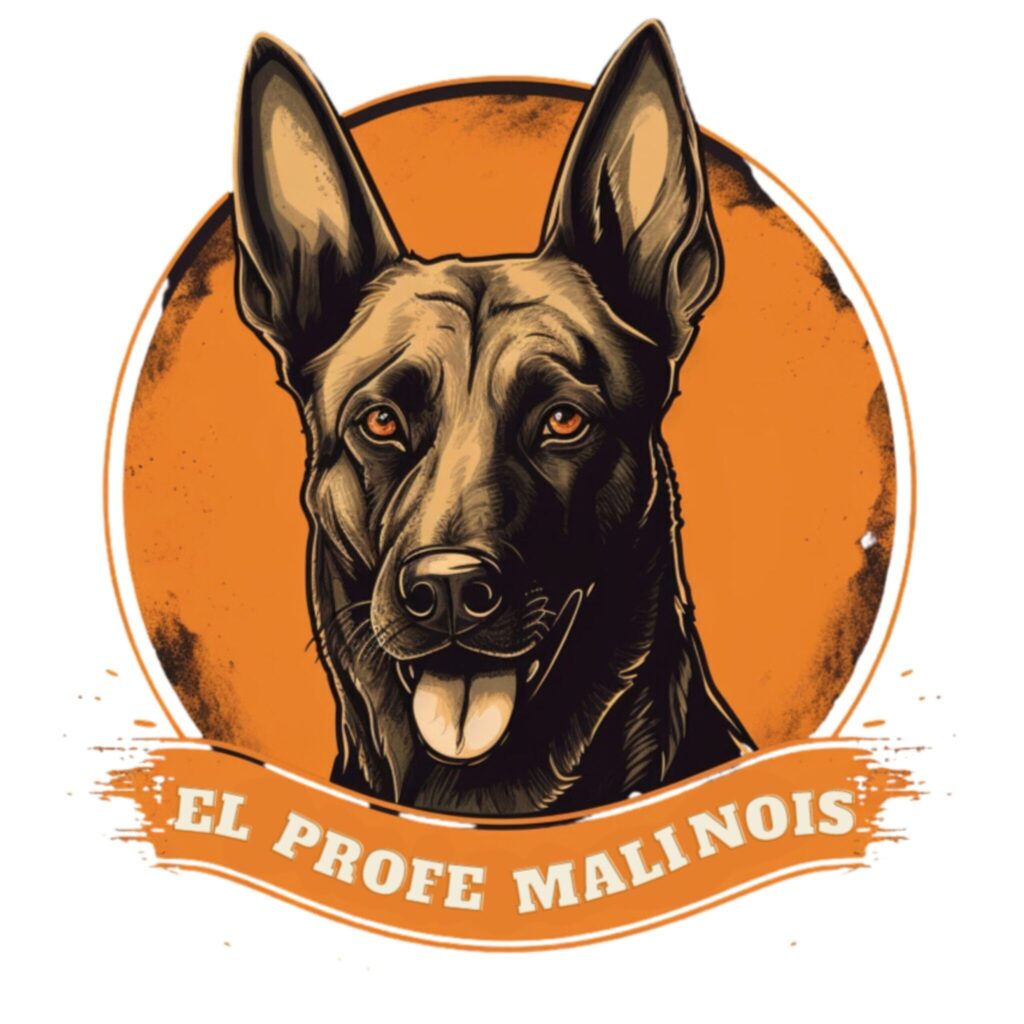 el profe malinois logotipo