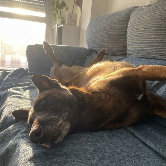 Generated Image November 28, 2025 - 8_57AM (1) (1)